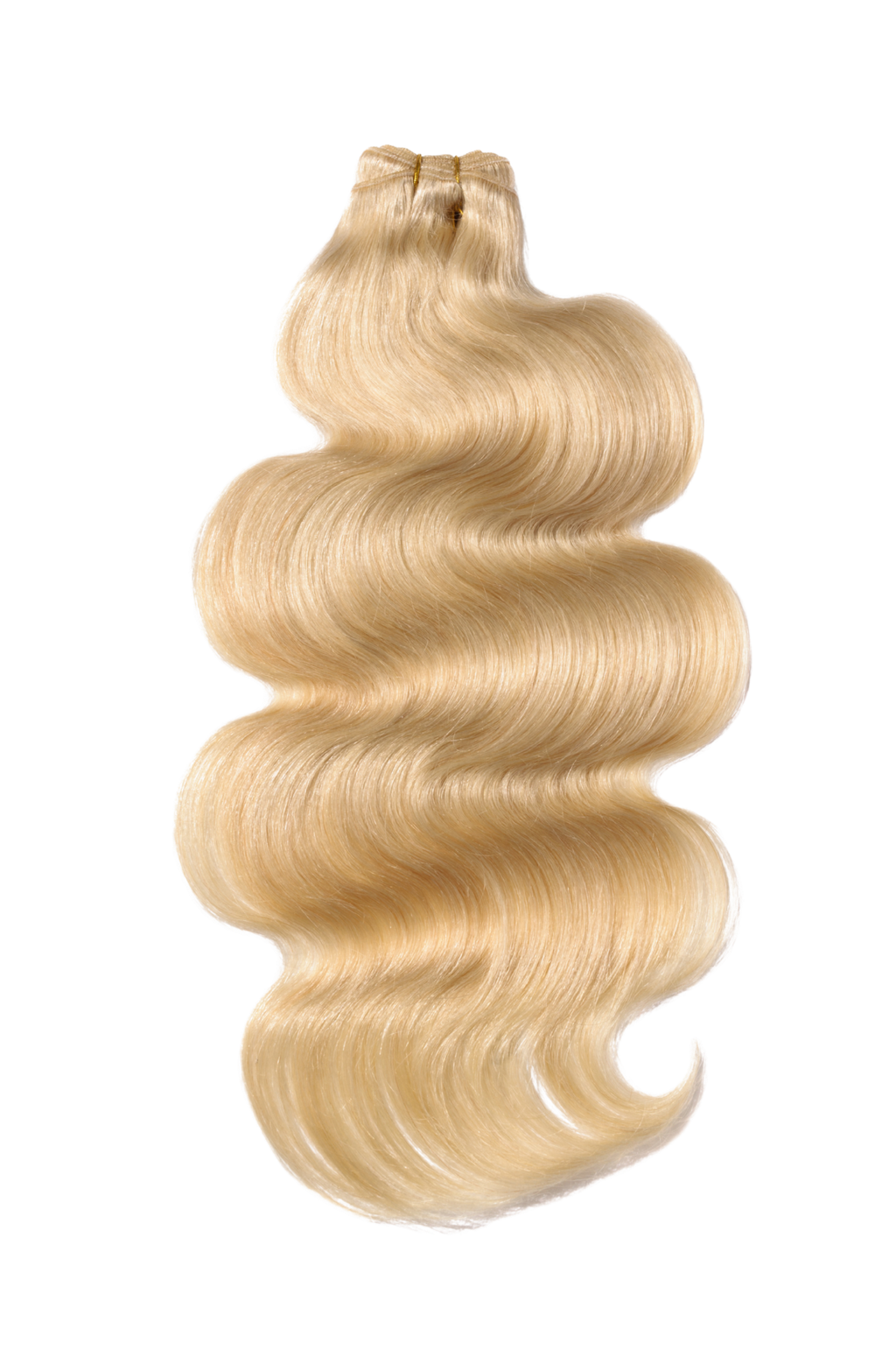 Premium Blonde Bundle