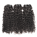 Burmese Curly 3-Bundle Set